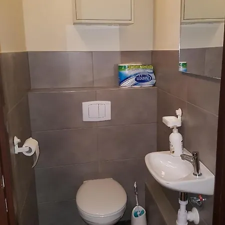 Silesia Aster Vandrerhjem *