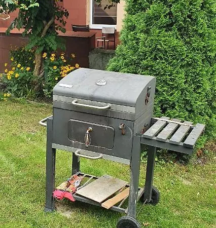 Silesia Aster Vandrerhjem