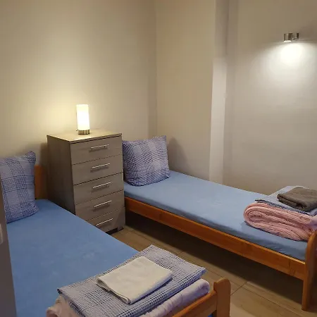 Silesia Aster * Tychy