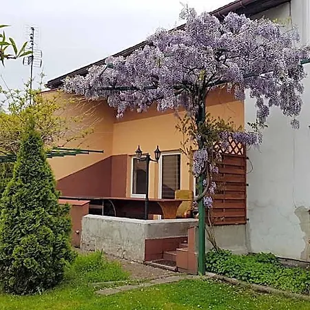 Hostel Silesia Aster *