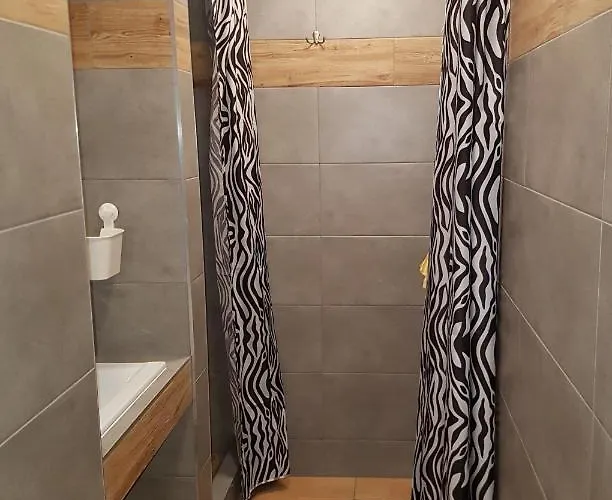 Hostel Silesia Aster